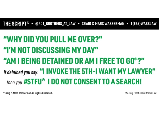 A text-based graphic with a black header reading 'THE SCRIPT™ • @POT_BROTHERS_AT_LAW • CRAIG & MARC WASSERMAN • 1(855)WASSLAW' and large green quote text on a white background.